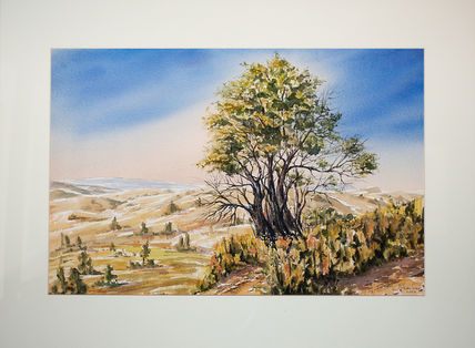 Paisaje de Sierra
