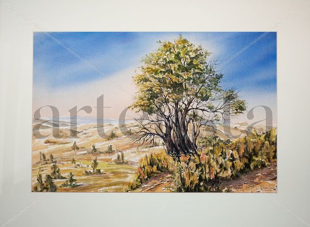 Paisaje de Sierra Watercolour Paper Landscaping