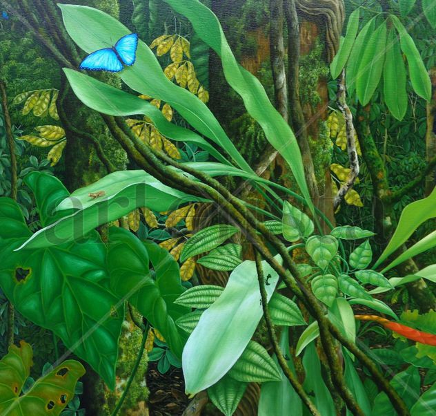(fragmento) obra amazonia vive