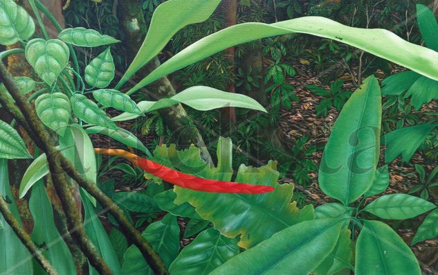 (fragmento) amazonia vive Óleo Lienzo Paisaje