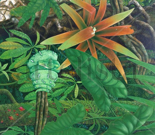 (fragmento) amazonia vive Oil Canvas Landscaping