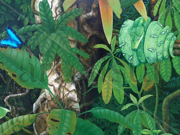 (fragmento) amazonia vive