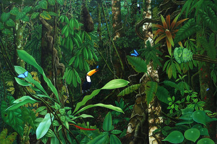 Amazonia vive