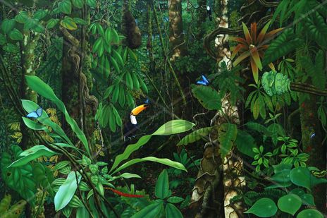 Amazonia vive