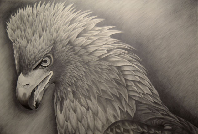 águila real