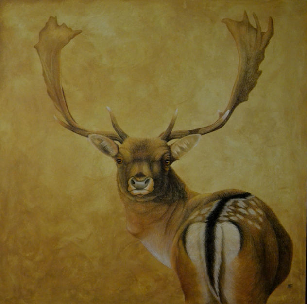 gamo