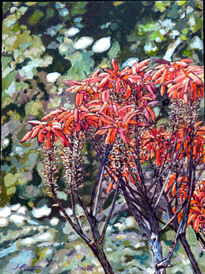 Flores de Aloe