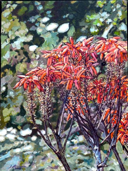 Flores de Aloe Acrílico Otros Floral