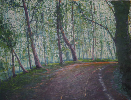 Bosque sorribes