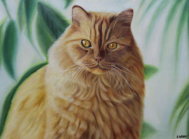 Mi gato Oil Canvas Animals