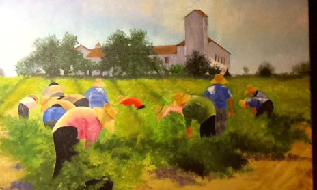 Paisajes
