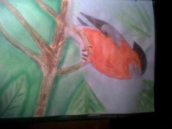 PAJARITO