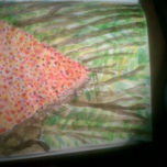 ACUARELAS 2013 thumbnail 2