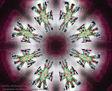 MANDALA DE CRUCES
