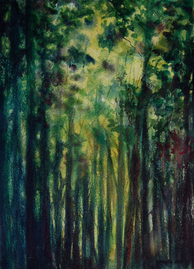 PS13/5 (claro en el bosque) Watercolour Paper Landscaping