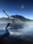 The spirit of the gulls