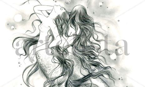 Ilustraciones