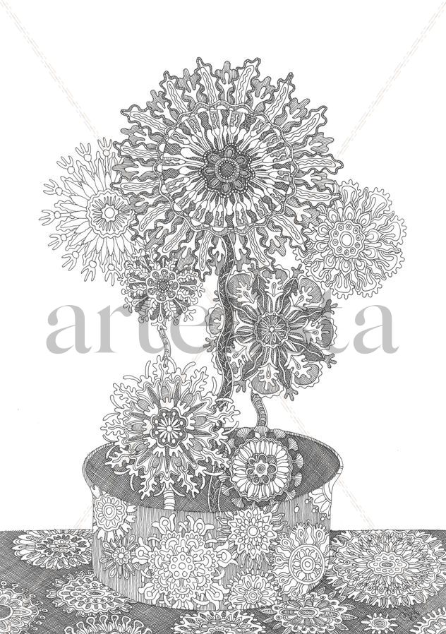 Dibujo blanco y negro: Naturaleza