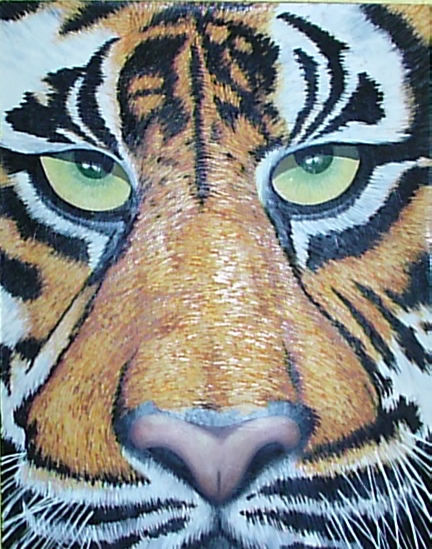 Tigre