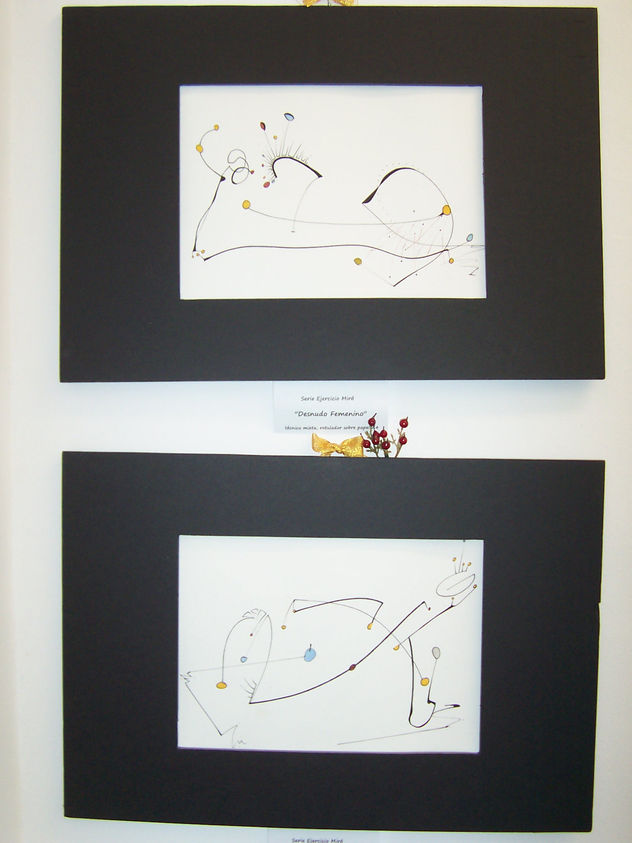 2  dibujos de Serie Miro