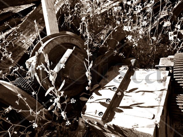 RUINAS II