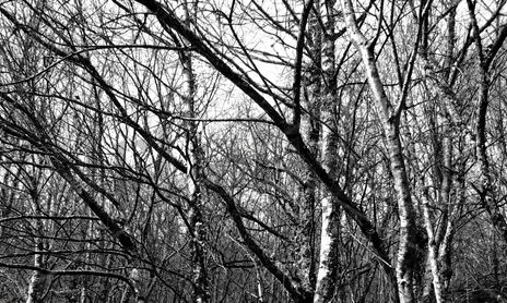 Naturaleza