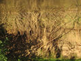 “NATURALEZA 2”