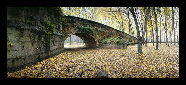 PUENTE ROMANO