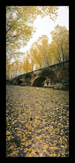 PUENTE ROMANO VERTICAL Travel Color (Manual)