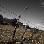Naturaleza thumbnail 1