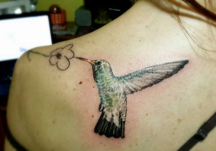 Colibrí