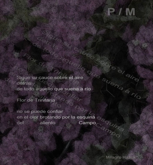P/M
