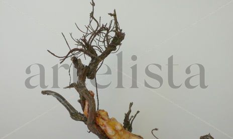ESCULTURA
