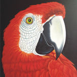 animales thumbnail 1
