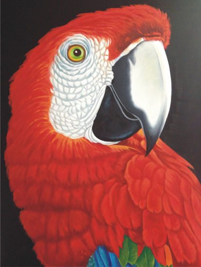 Guacamaya 3 Oil Canvas Animals