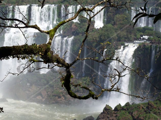 CATARATAS DEL IGUAZÚ 1