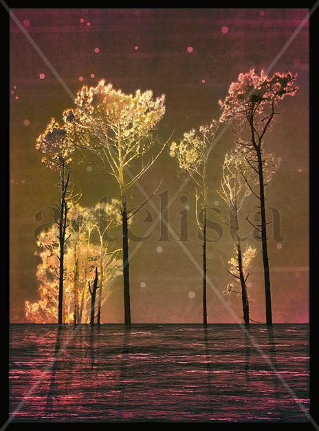 Fantasy Landscape