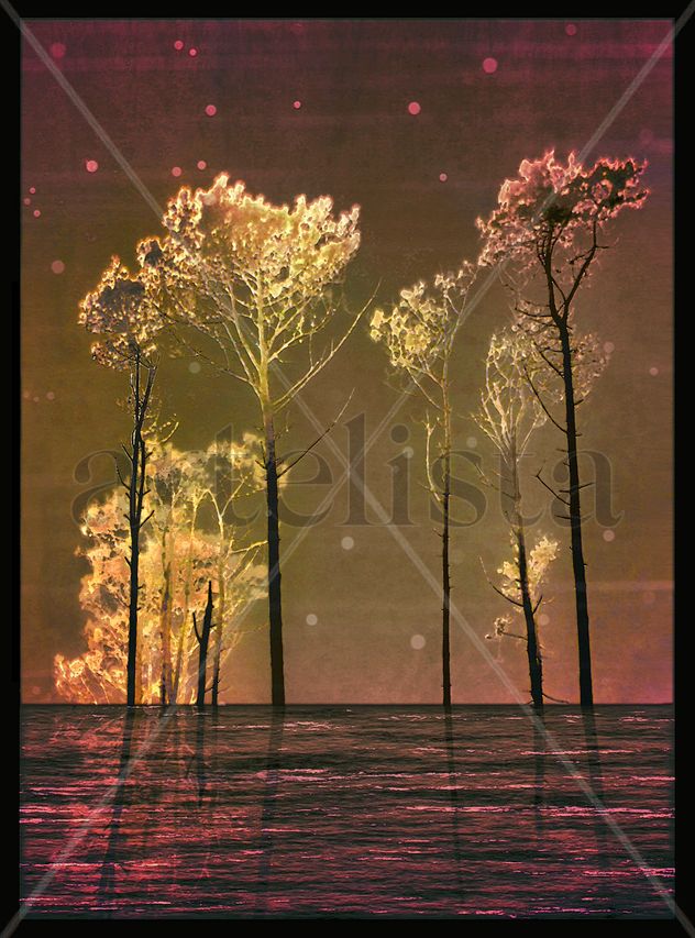 Fantasy Landscape