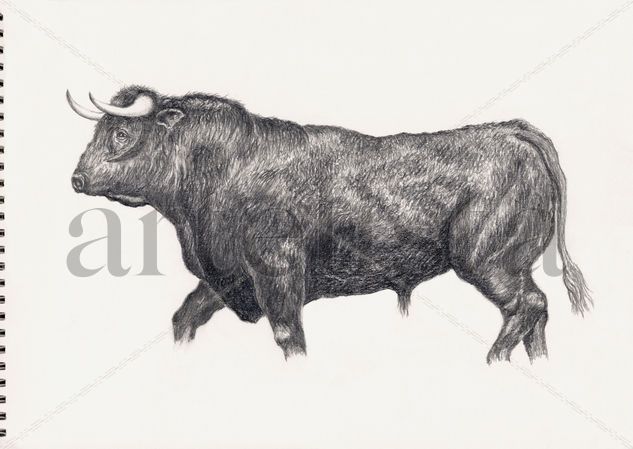 Toro Graphite