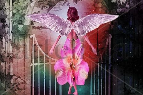 El Angel De Las...