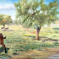 obra