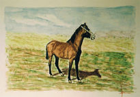 Caballo