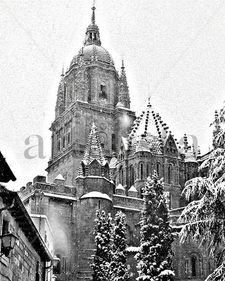 Nieve en la catedral 2