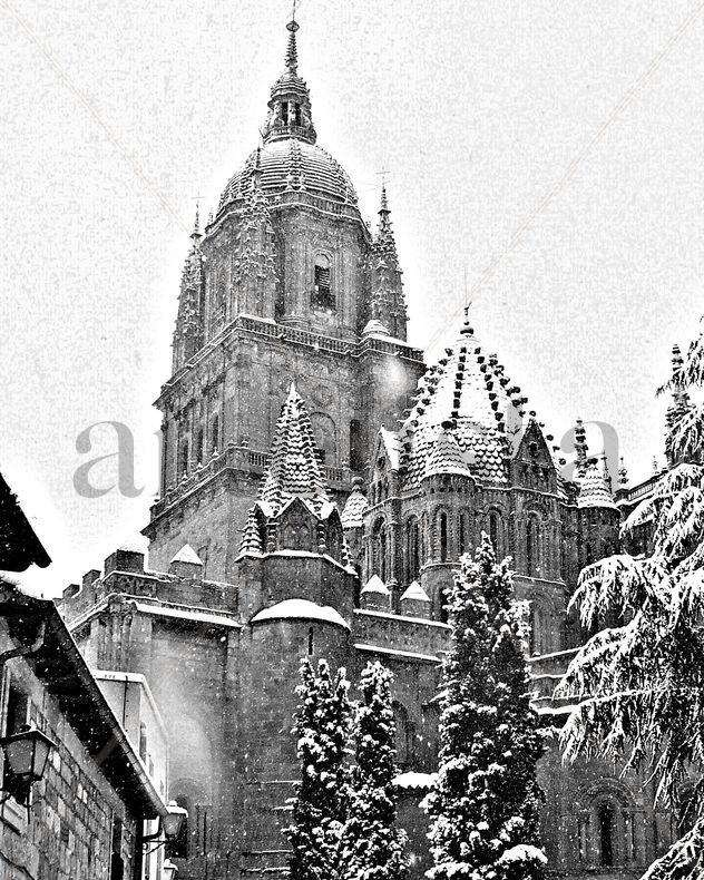Nieve en la catedral 2