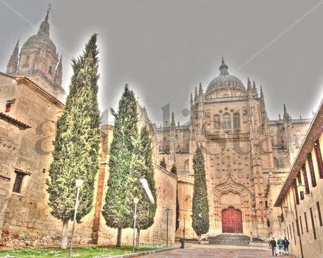 Nieve en la catedral 4