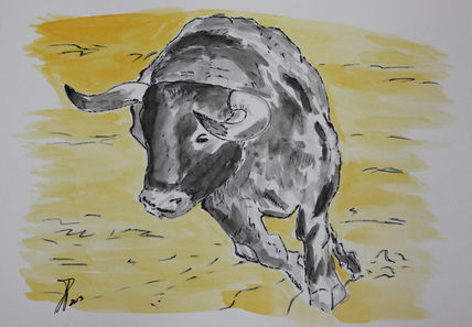 Toro