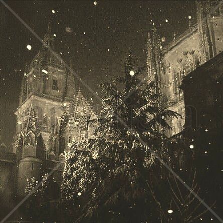 Nieve en la catedral 7