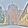 Nieve en la catedral 8