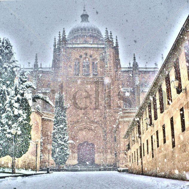 Nieve en la catedral 8