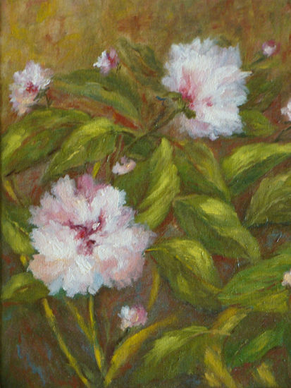 CAMELIAS Oil Canvas Floral Painting